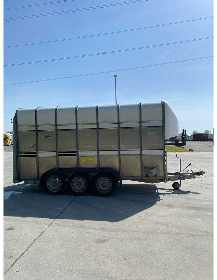 Ifor Williams Trailers TA510G14/3 7' DECKS - Remorque bétaillère: photos 2 Ifor Williams Trailers TA510G14/3 7' DECKS - Remorque bétaillère: photos 2