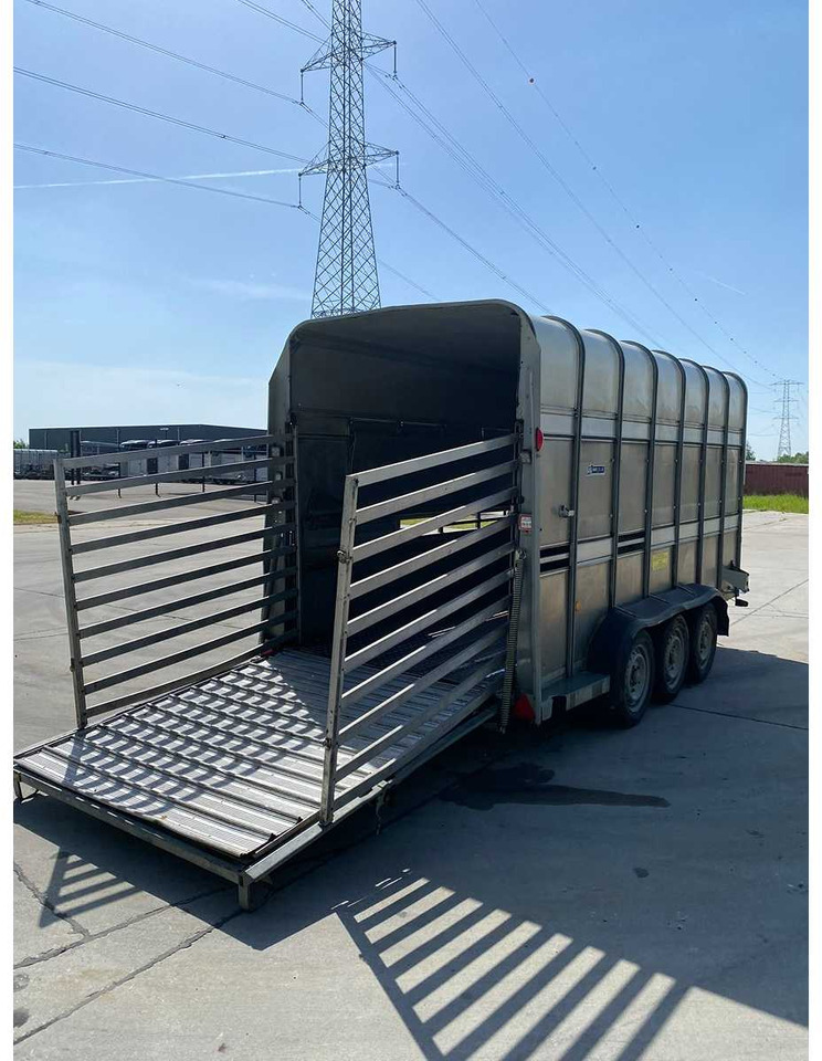 Ifor Williams Trailers TA510G14/3 7' DECKS - Remorque bétaillère: photos 4 Ifor Williams Trailers TA510G14/3 7' DECKS - Remorque bétaillère: photos 4