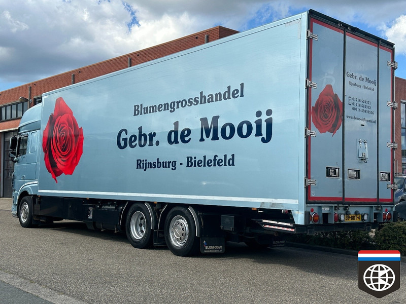 DAF XF 460 FAN TRS ICELAND / SMART TACHO 2 /FLOWERS / RACE / HORSE - Camion frigorifique: photos 4 DAF XF 460 FAN TRS ICELAND / SMART TACHO 2 /FLOWERS / RACE / HORSE - Camion frigorifique: photos 4