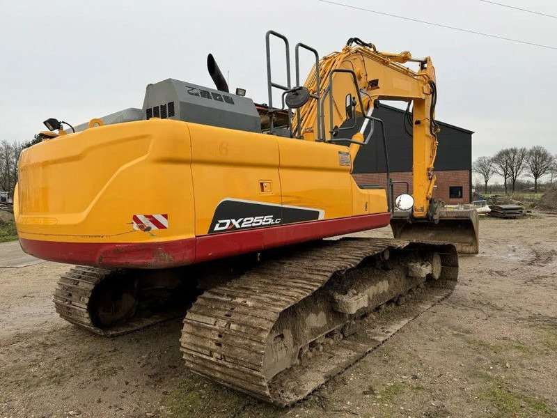 Doosan DX255LC-5 2015 10800 hr STRAIGHT FROM WORK ! DUTCH MACHINE ! - Pelle sur chenille: photos 4 Doosan DX255LC-5 2015 10800 hr STRAIGHT FROM WORK ! DUTCH MACHINE ! - Pelle sur chenille: photos 4