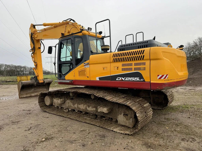 Doosan DX255LC-5 2015 10800 hr STRAIGHT FROM WORK ! DUTCH MACHINE ! - Pelle sur chenille: photos 2 Doosan DX255LC-5 2015 10800 hr STRAIGHT FROM WORK ! DUTCH MACHINE ! - Pelle sur chenille: photos 2