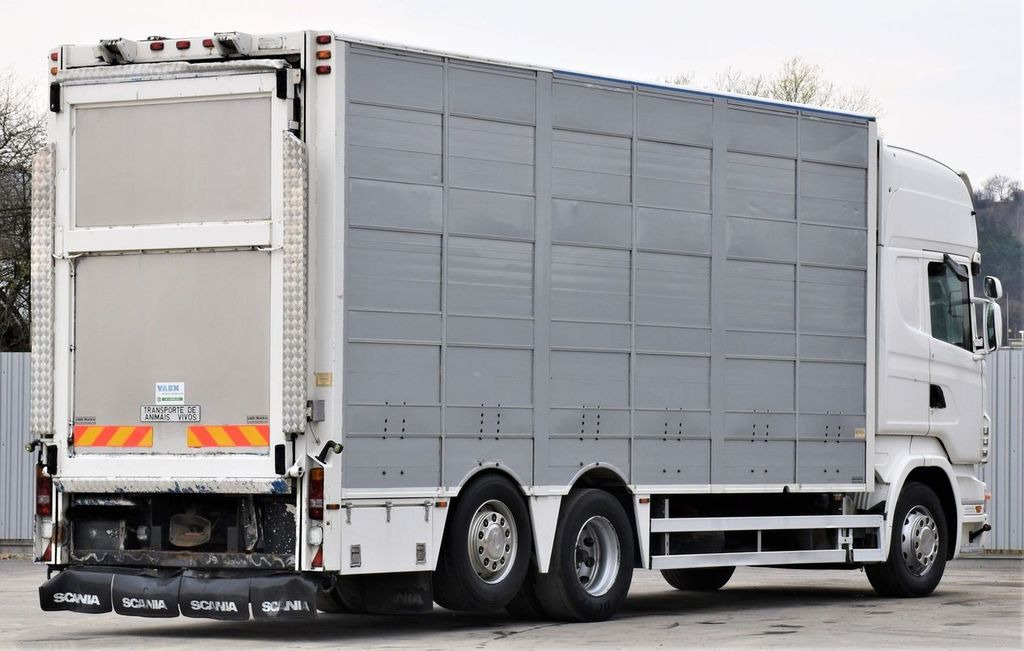Scania R 500 TIERTRANSPORTWAGEN 7,10m / 4STOCK - Camion bétaillère: photos 5 Scania R 500 TIERTRANSPORTWAGEN 7,10m / 4STOCK - Camion bétaillère: photos 5