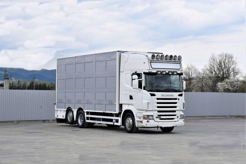 Scania R 500 TIERTRANSPORTWAGEN 7,10m / 4STOCK - Camion bétaillère: photos 2 Scania R 500 TIERTRANSPORTWAGEN 7,10m / 4STOCK - Camion bétaillère: photos 2