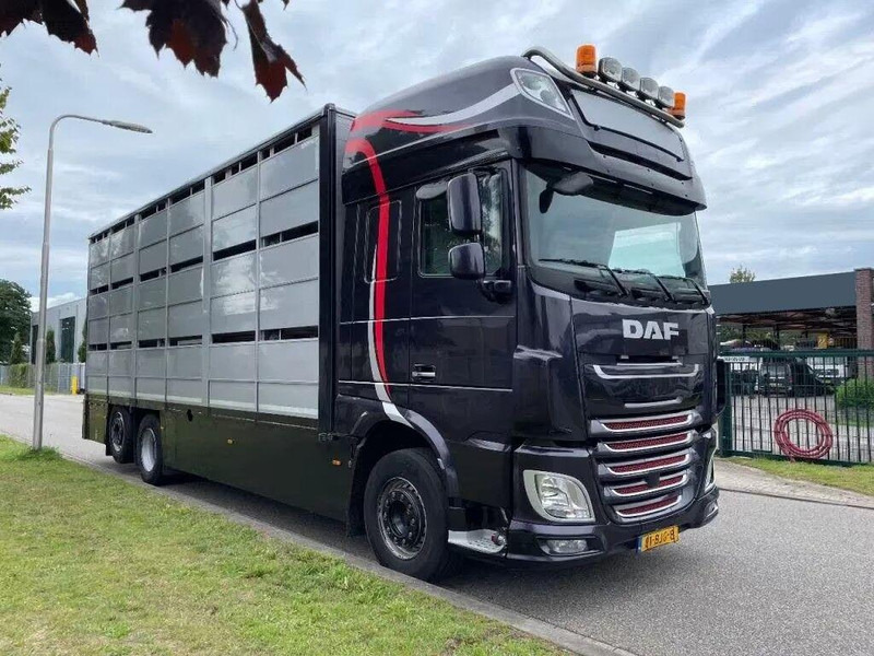 DAF XF 460 - Animal transporter - Camion bétaillère: photos 2 DAF XF 460 - Animal transporter - Camion bétaillère: photos 2