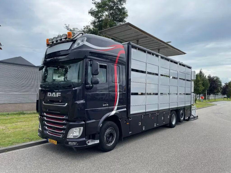 DAF XF 460 - Animal transporter - Camion bétaillère: photos 3 DAF XF 460 - Animal transporter - Camion bétaillère: photos 3