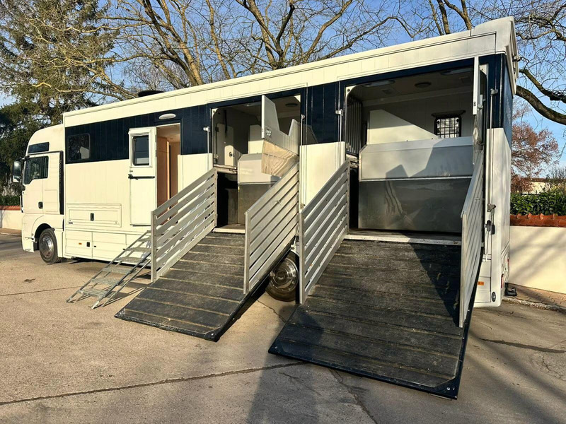 MAN TGX 26.440 - Horse transporter - Camion chevaux: photos 5 MAN TGX 26.440 - Horse transporter - Camion chevaux: photos 5