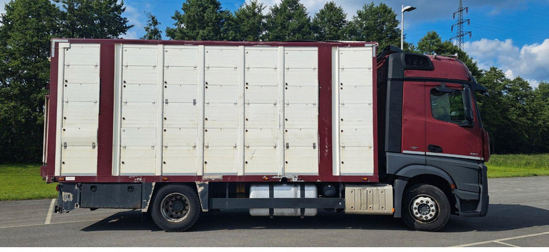 Mercedes-Benz Actros 1851 - Camion bétaillère: photos 2 Mercedes-Benz Actros 1851 - Camion bétaillère: photos 2