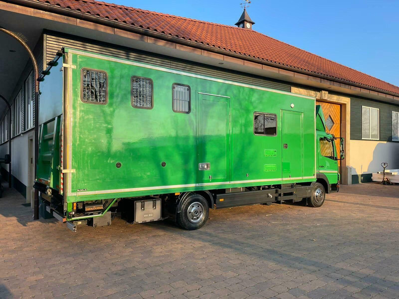 Mercedes-Benz Atego 1018 - Horse transporter - Camion chevaux: photos 5 Mercedes-Benz Atego 1018 - Horse transporter - Camion chevaux: photos 5