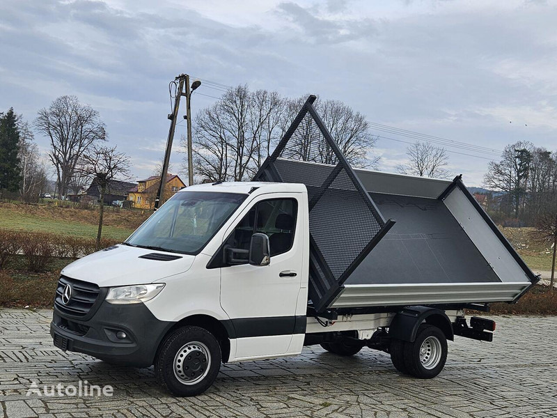 Mercedes-Benz Sprinter 419/519 CDI 3 way tipper - Véhicule utilitaire benne: photos 2 Mercedes-Benz Sprinter 419/519 CDI 3 way tipper - Véhicule utilitaire benne: photos 2