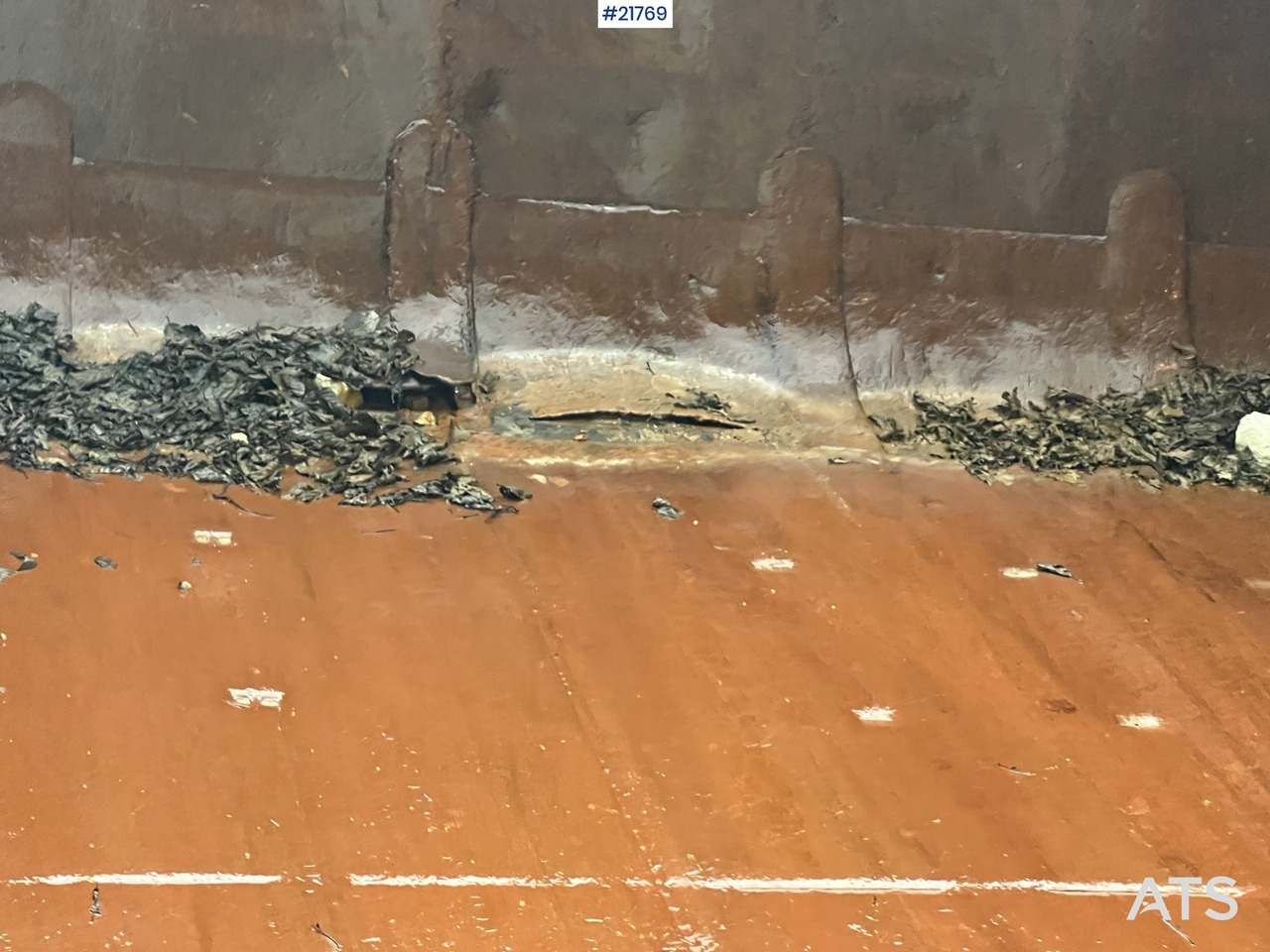 Tombereau rigide Perlini DP705 Tipptruck: photos 16