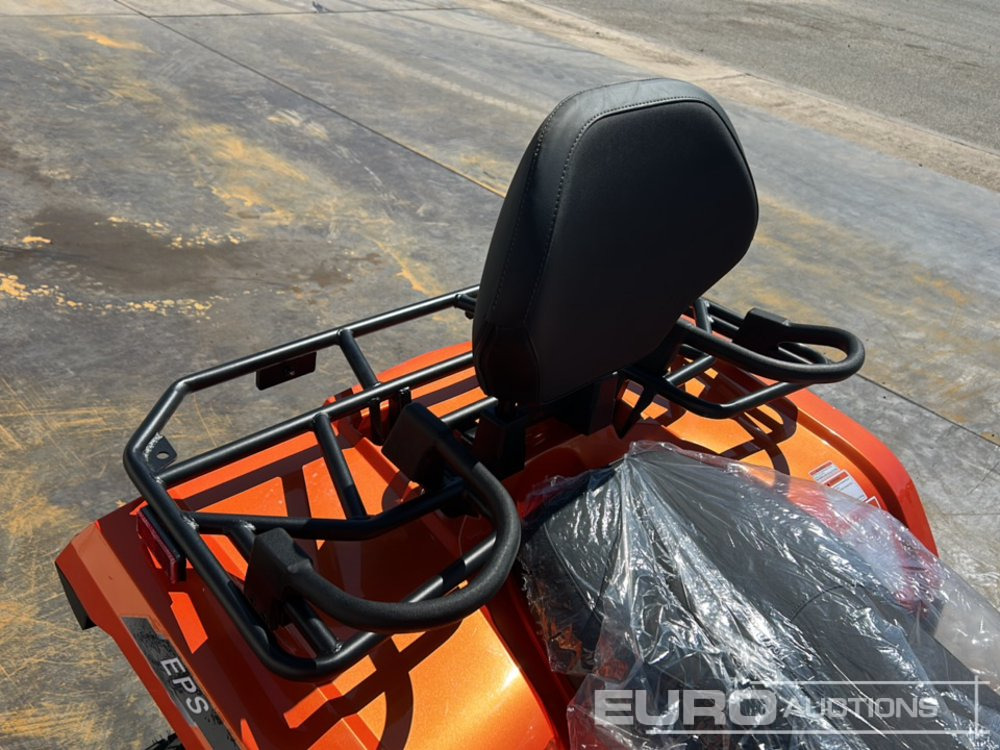 Quadricycle Unused 2025 Beast 450L: photos 12