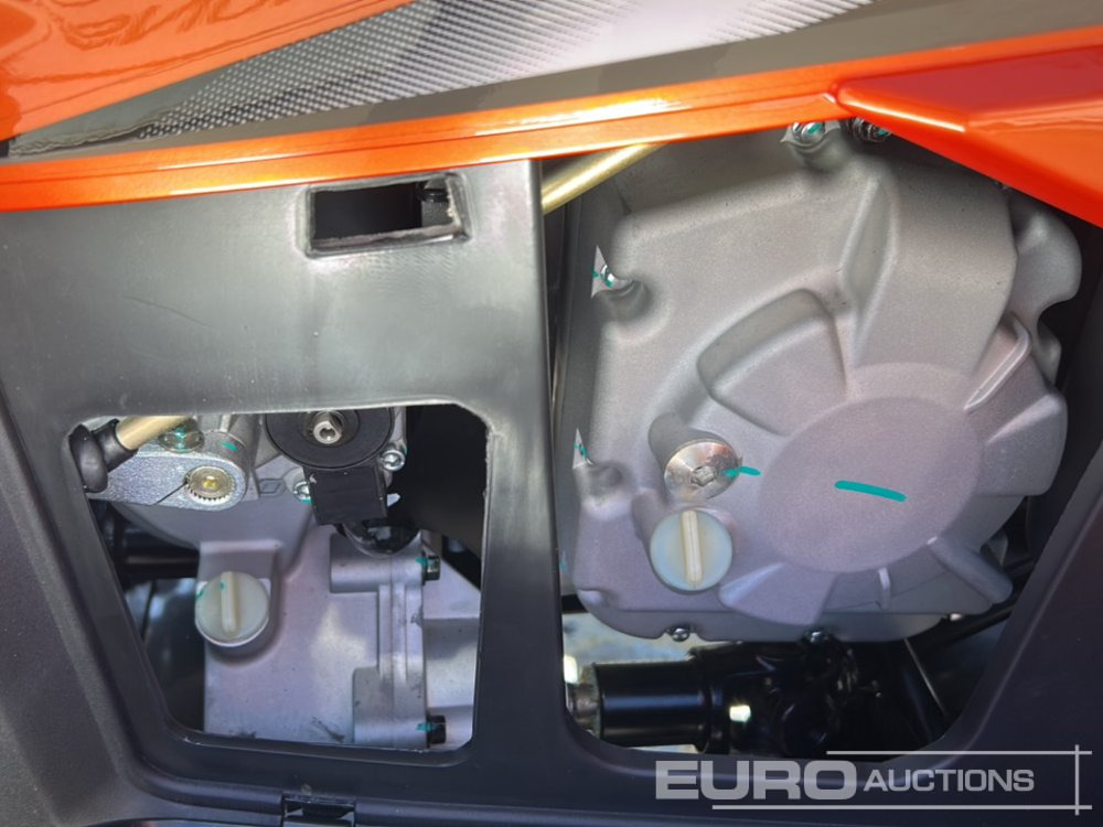 Quadricycle Unused 2025 Beast 450L: photos 31