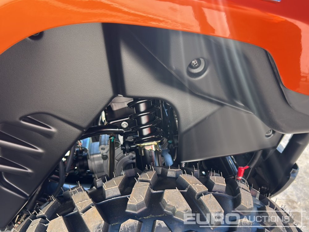 Quadricycle Unused 2025 Beast 450L: photos 18