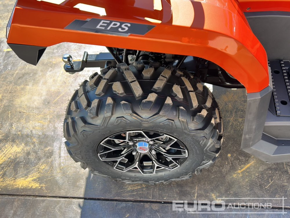Quadricycle Unused 2025 Beast 450L: photos 11