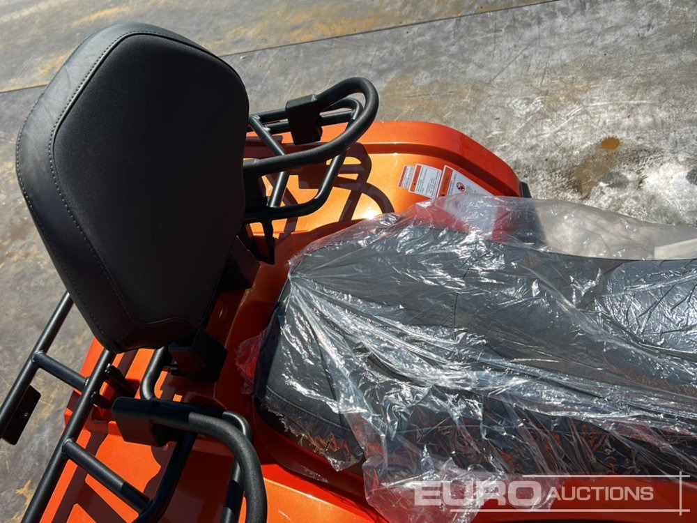 Quadricycle Unused 2025 Beast 450L: photos 19