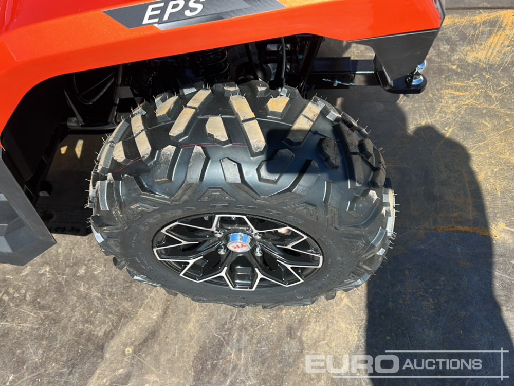 Quadricycle Unused 2025 Beast 450L: photos 9