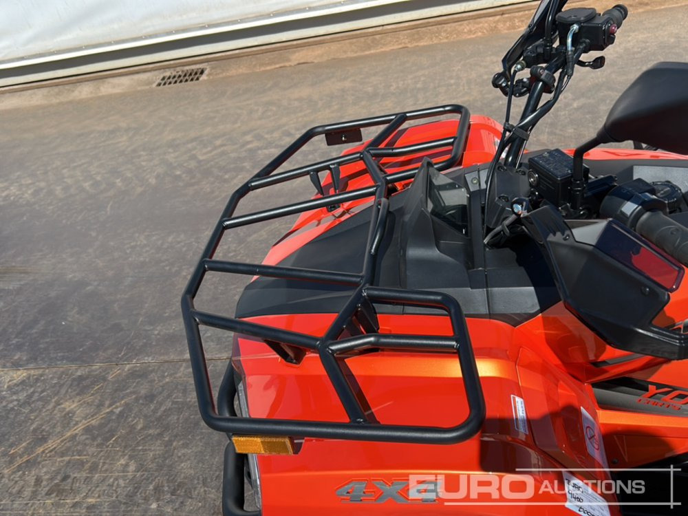 Quadricycle Unused Beast 450L: photos 15
