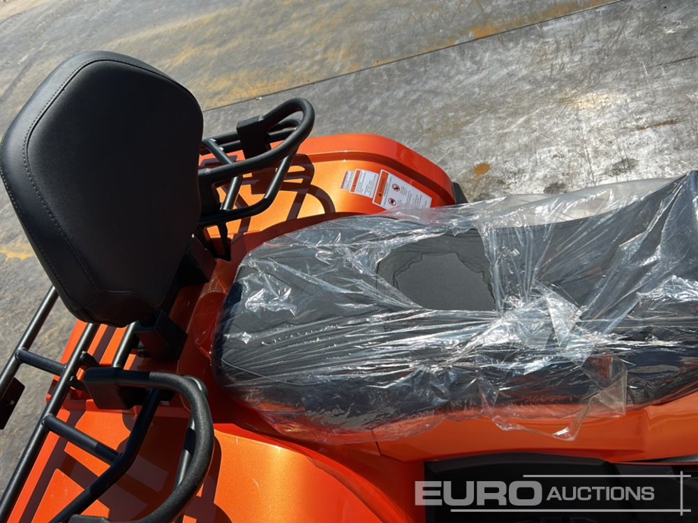 Quadricycle Unused Beast 450L: photos 19