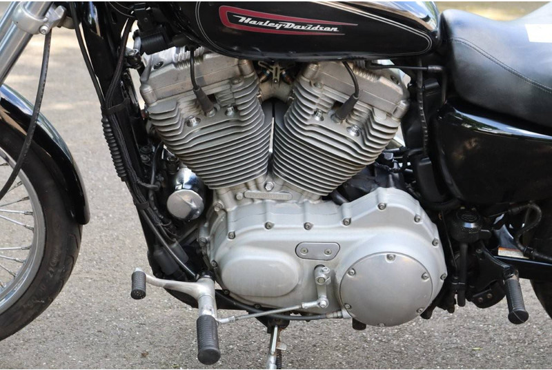 Motocyclette Harley-Davidson Sportster XL883: photos 11 Motocyclette Harley-Davidson Sportster XL883: photos 11