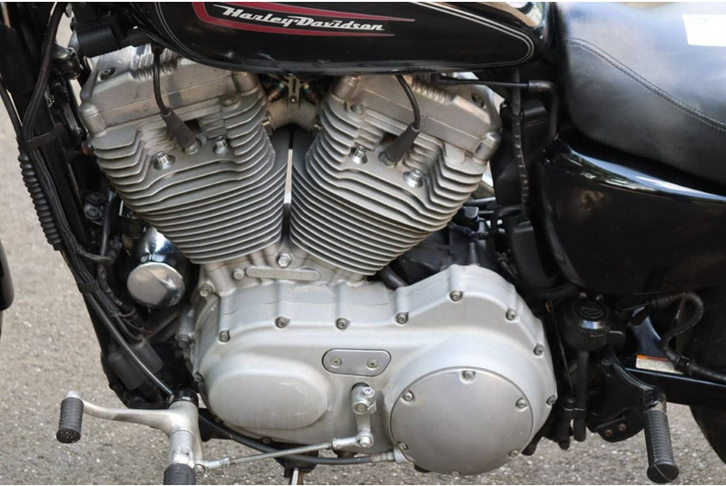 Motocyclette Harley-Davidson Sportster XL883: photos 14 Motocyclette Harley-Davidson Sportster XL883: photos 14