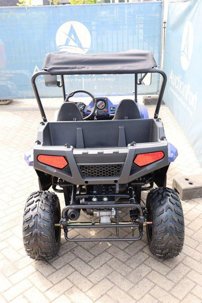 Wextrem UTV-ATV 200Pro - Voiturette de golf: photos 4 Wextrem UTV-ATV 200Pro - Voiturette de golf: photos 4