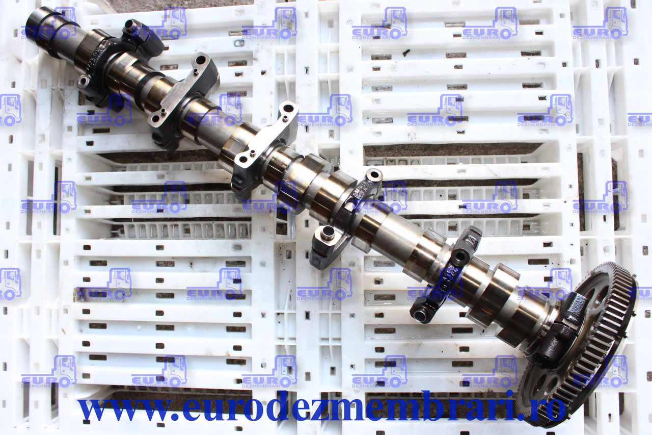 AX CU CAME RENAULT DTI11 21745877 - Arbre à cames pour Camion: photos 1 AX CU CAME RENAULT DTI11 21745877 - Arbre à cames pour Camion: photos 1