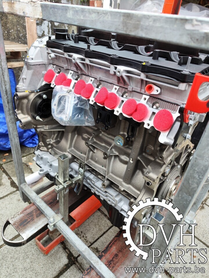 Ford RANGER QJ2R - QW2R - GBVAQJ - Moteur pour Pick-up: photos 1 Ford RANGER QJ2R - QW2R - GBVAQJ - Moteur pour Pick-up: photos 1