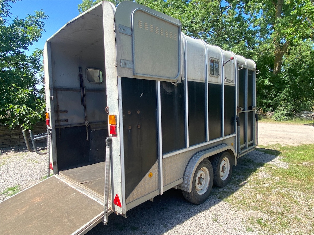 IFOR WILLIAMS TRAILERS - Van chevaux: photos 5 IFOR WILLIAMS TRAILERS - Van chevaux: photos 5
