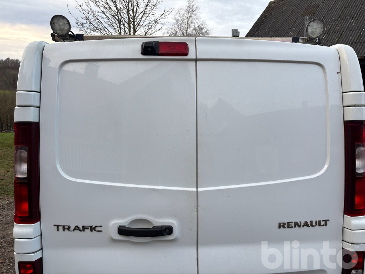 Fourgon utilitaire RENAULT TRAFIC 1.6 dCi: photos 29 Fourgon utilitaire RENAULT TRAFIC 1.6 dCi: photos 29