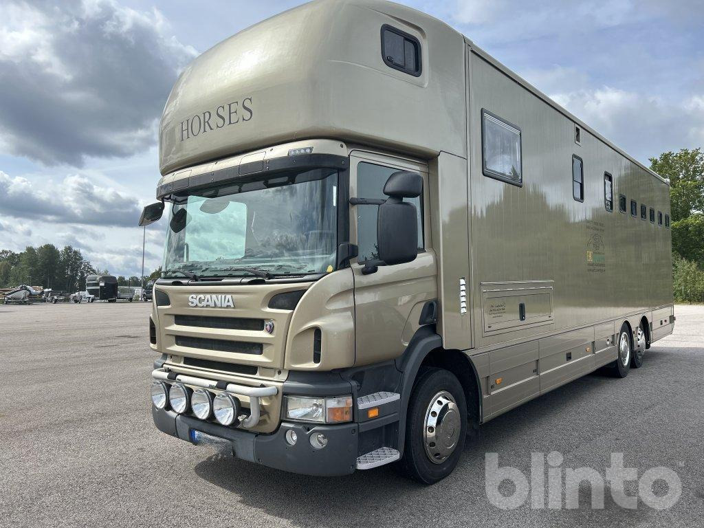 SCANIA P360DB6X2*4MNB - Camion chevaux: photos 1 SCANIA P360DB6X2*4MNB - Camion chevaux: photos 1