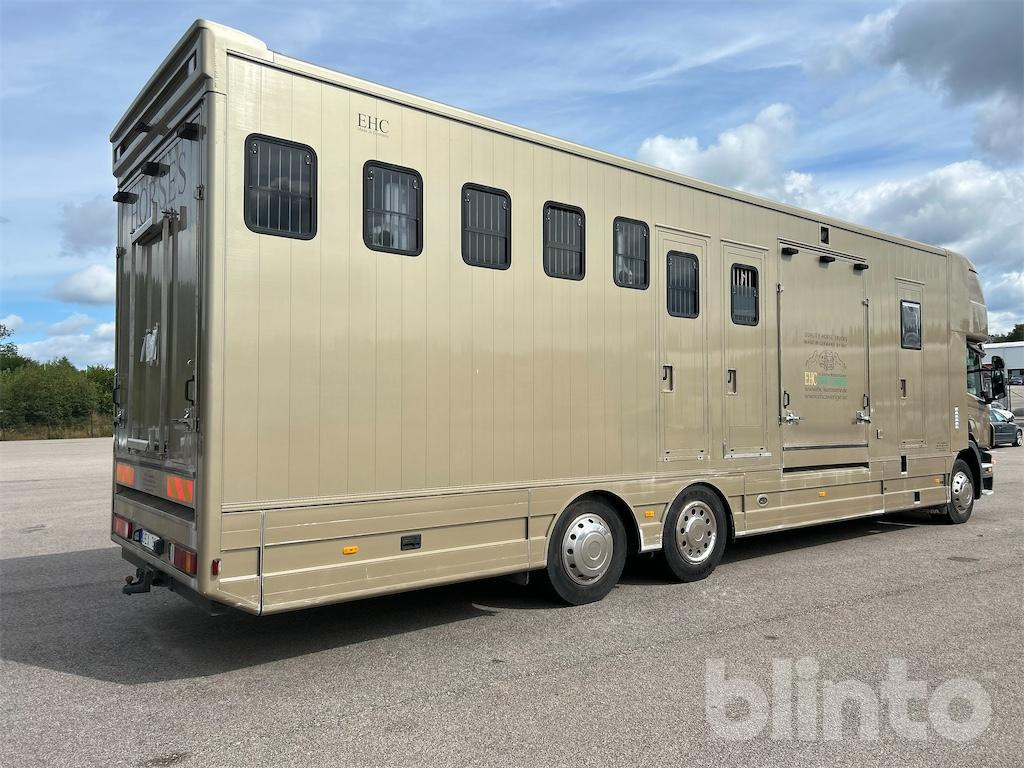 SCANIA P360DB6X2*4MNB - Camion chevaux: photos 4 SCANIA P360DB6X2*4MNB - Camion chevaux: photos 4